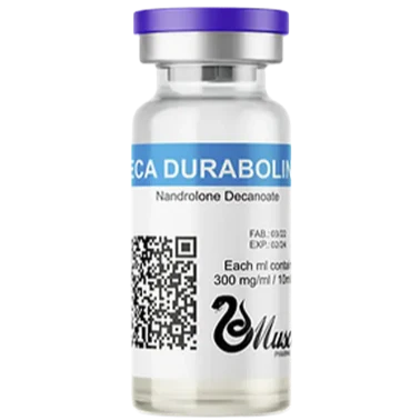 Deca 300mg/ml (10ml) MUSCLE